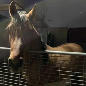 Meet your Posher, Lucy